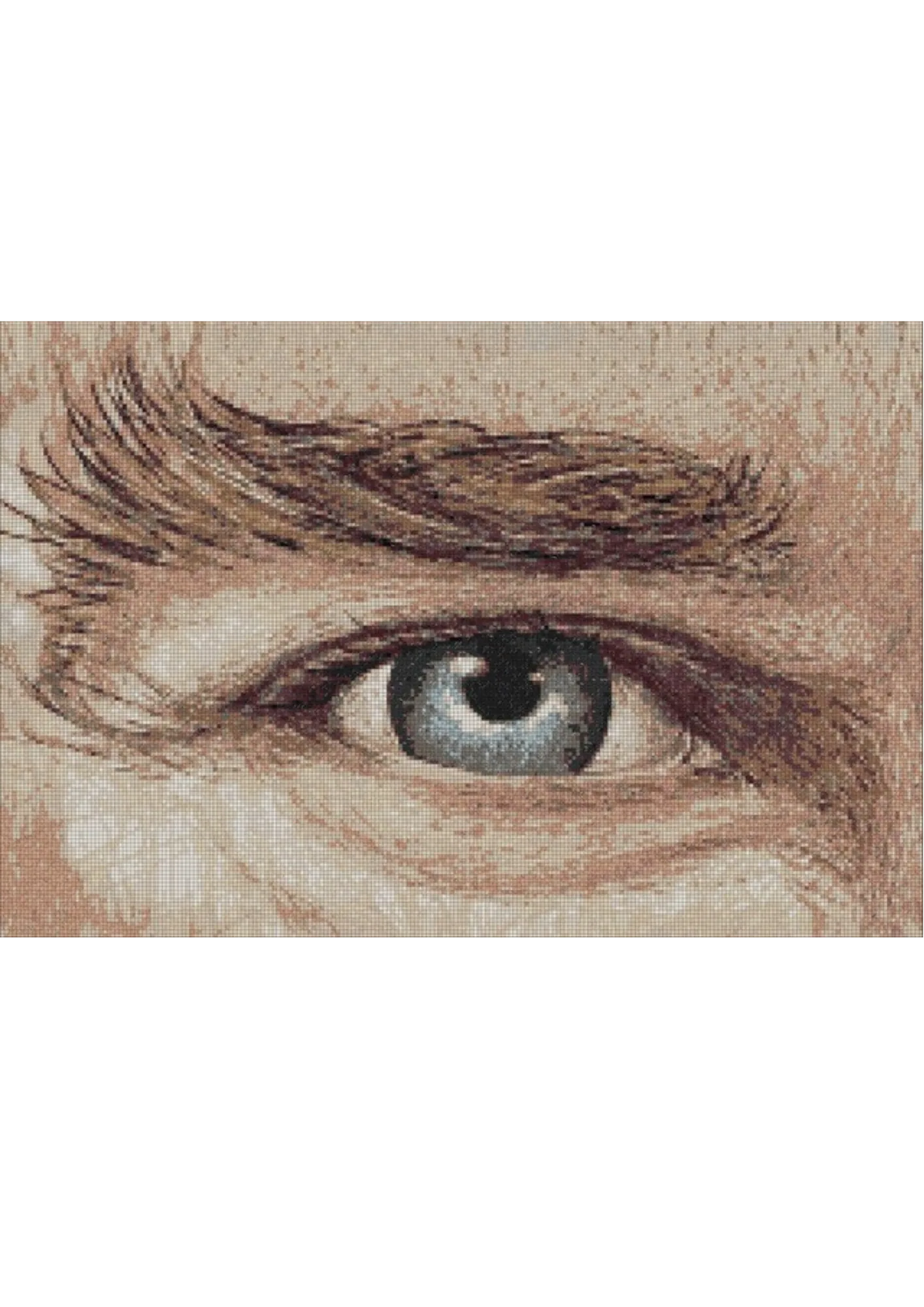 The full artwork as a mosaic simulation: a single eye and brow filling a wide panel, drawn in fine rust and sepia tesserae over a warm cream ground, the lashes and brow hairs rendered as individual strokes and the iris a cool grey-blue.