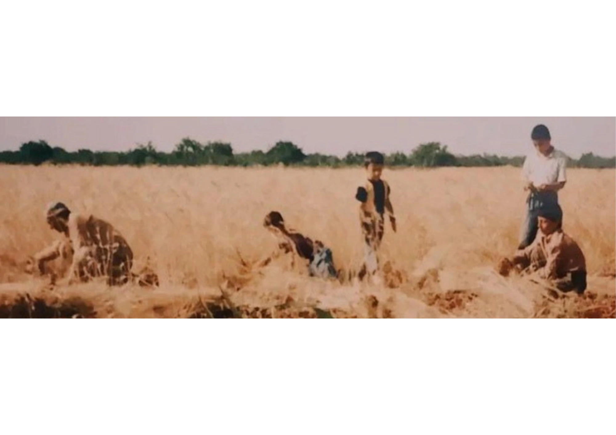 The customer's original photograph: a family working across a sunlit wheat field, three figures crouched low among the cut stalks and two standing, a dark treeline along the horizon behind them.