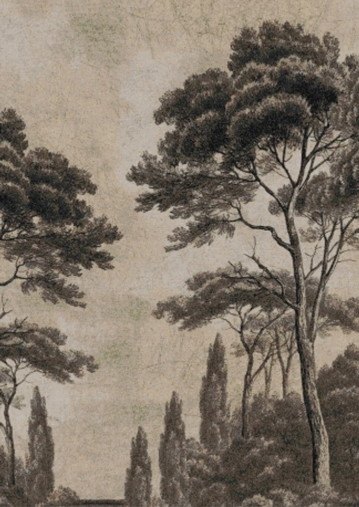 A landscape of umbrella pines and cypresses as a mosaic simulation, drawn in charcoal and sepia over a pale ground.